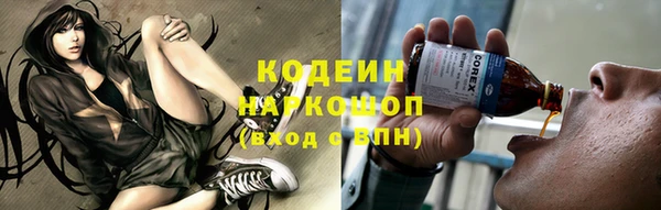 СК Пересвет