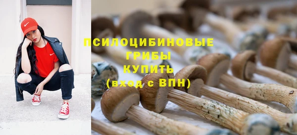 бошки Абдулино