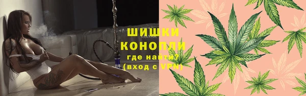 СК Пересвет