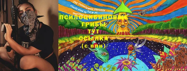 PSILOCYBIN Пестово